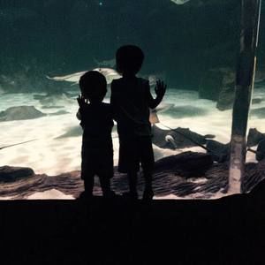 Meet your Posher, Cary